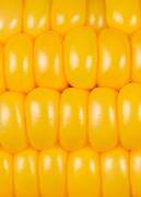 use_corn